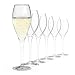 Produktbild SAHM Champagner Gläser (6 STK) - Champagnerflöten a 220 ml - Ideal auch als Sektflöten & Sektgläser 6er Set