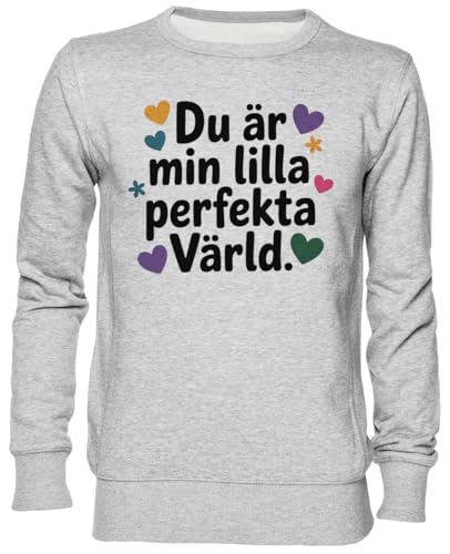 Gris sweat-shirt jersey unisexe le cadeau tendre parfait pour homme et femme