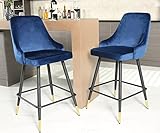Nopurs Bar Stools Set of 2,Modern Velvet Bar Chairs with Backrest and Foot Bar for Kitchen,Cafe Dinner,Pub (Blue,2 Counter Bar Chairs)
