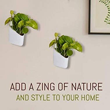 'Trendy Home' Prism Shape wall mount planter for Indoor/Outdoor | planters for Garden/Balcony vertical gardening Decor | Without Plant (color-White, set of 8 Pots)