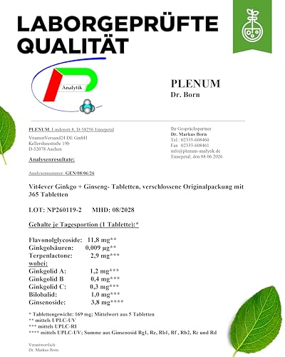 vit4ever Ginkgo + Ginseng - 365 Tabletten - Spezial Extrakt - Hochdosiert - Laborgeprüft - Ginkgo Biloba + Koreanischer Ginseng - Premium Qualität - Vegan