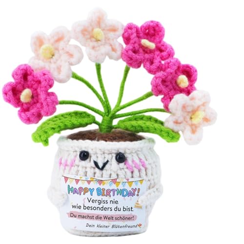 Velkorth Geburtstagsgeschenk für Frauen – Positive Kartoffel Geburtstag mit Handgehäkelten Blumen, Originelles Geschenk für Mama, Freundin, Oma, Mit Liebesbotschaft, Perfektes Happy Birthday Geschenk