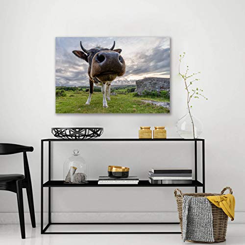 Impression sur toile Highland pour habiller un mur vide avec une décoration murale animaux de salon