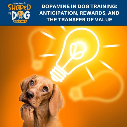 Dopamine In Dog Training: Anticipation, Rewards, And the Transfer Of Value #174 Podcast Por  arte de portada