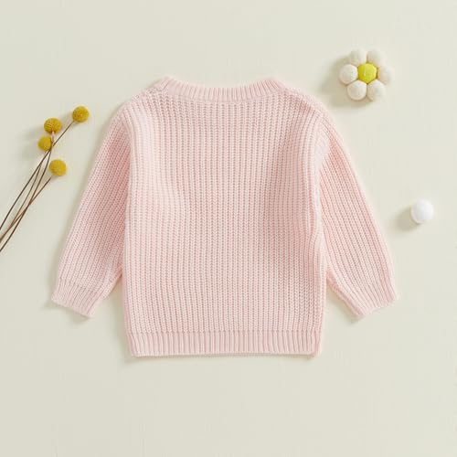 Little Girl Fall Sweater Bowknot Embroidery Long Sleeve Crew Neck Chunky Knitwear Pullover4