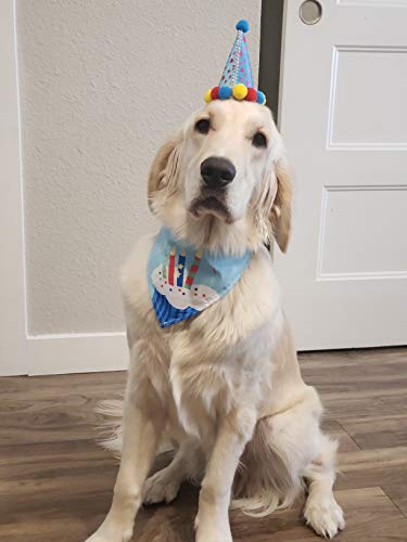 Dog Birthday Bandana Hat Scarf Dog Birthday Party Supplies Triangle Scarf with 0-8 Numbers - Image 6
