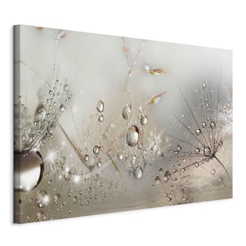 murando - Akustikbild Pusteblume Bilder Akustikschaum Hochleistungsschallabsorber Schallschutz Leinwand 1 tlg Wandbild Raumakustik Schalldämmung Blumen Abstrakt b-C-0268-b-a