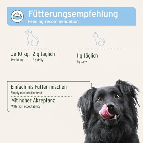 AniForte Fellpflege für Hunde & Katzen Fellharmonie Vitalpulver 250g - Natürlich für glänzendes Fell & Vitale Haut, unterstützt Stoffwechsel & Immunsystem