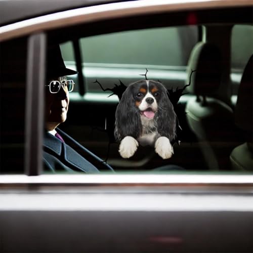 Image of Vinyl Car Decals for Women - Dog Stickers, Gift for Dog Lovers (Cavalier King Charles Stickers)