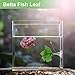 CAPASTEC Betta Fish Leaf, Natural Habitat Simulation for Betta Spawnings Grounds, Betta Spawnings Leaves, Resting Bed, Large Maple Small Leaves, Green