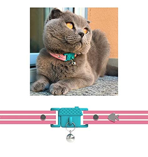 kittyrama collar