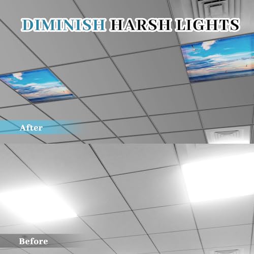 Image of VIHOSE 4 Pcs 2 x 2 Feet Fluorescent Light Covers for Ceiling Lights Classroom Magnetic Light Filters for Reducing Harsh Glare Flicker for Office Classroom Home Drop Ceiling(Sea Gull)