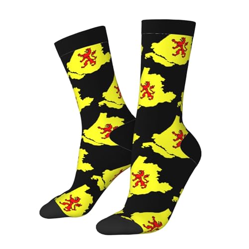 Flag Map of South Holland Socks For Men Women Outdoor Sports Running Hiking Wicking Crew Socks