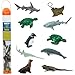 Amazon.com: Safari Ltd. Endangered Marine Species TOOB - Figures of ...