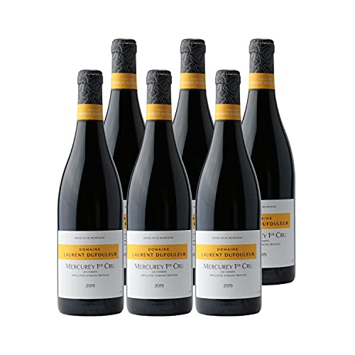 Mercurey 1er cru Les Combins Rouge 2019 - Domaine Laurent Dufouleur Cover