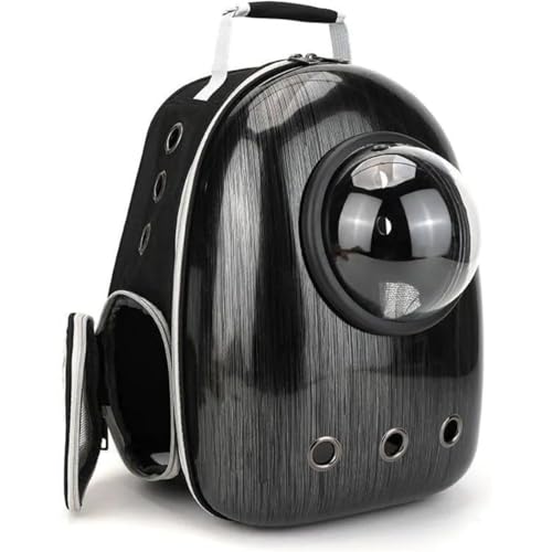 JBJSHHYLL[obO LbN LL[ bN FD JvZ y ^p hCu LsO s ω׏d6.5Kg (D)