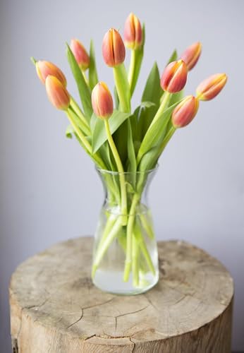 Image of KaBloom-10 Orange Tulip Bouquet,Flowers for Valentine, Mother's Day