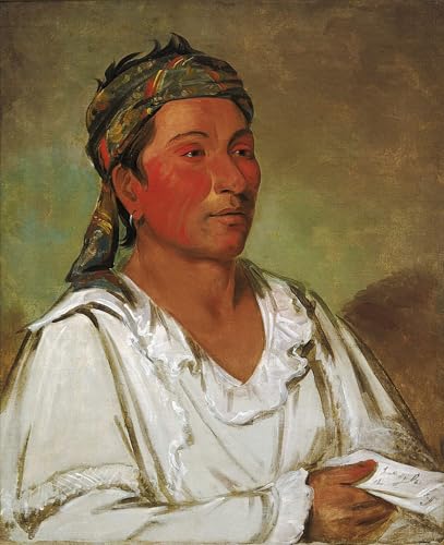 Cuadro de George Catlin: un gran lienzo abstracto de 60x90cm que eleva tu oficina