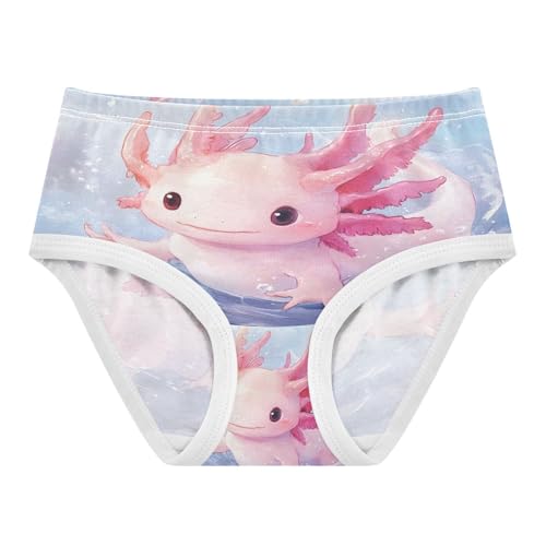 Cute Axolotl Toddler Girls's Underwear 2T 202b8888