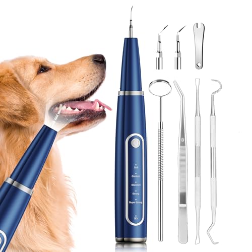 Ni-SHEN Blue Plaque Remover