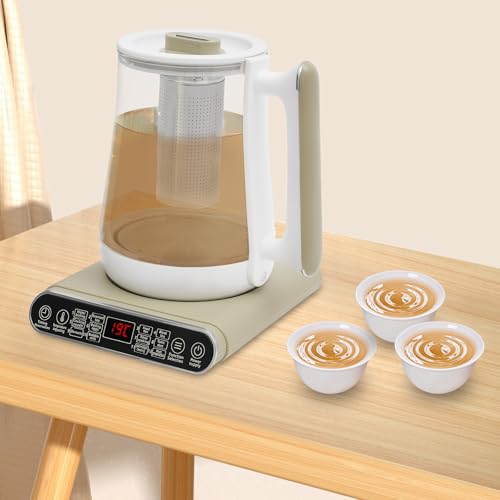 Tetera eléctrica Health Pot 1.8L acero vidrio miniatura 4