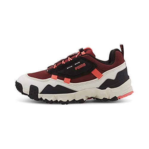 Puma Men's Trailfox Overland Pg Road Running Shoe