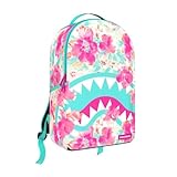 SPRAYGROUND