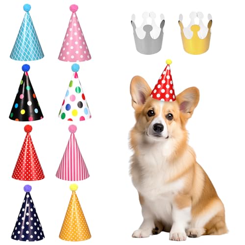 Mini Party Hats Set 11Pcs Dog Party Hat Reusable Cat Birthday Hat with Pompons Hats and Crowns Party Time Mini Pet Party Hat Accessories for Kittens Rabbits Dogs Small Animals Friends