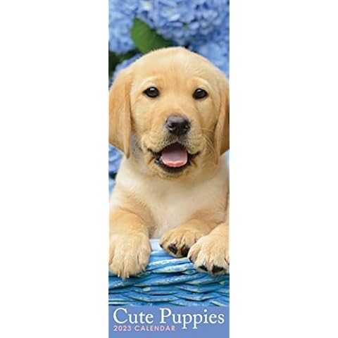 2023 Cute Puppies Slim Calendar - No Plastic - Dogs, Canine, Planner, Organiser, Agenda, Schedule, Gift Cover