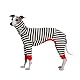 ESCCBOO Einteiler für italienische Windhunde, Rollkragen, gestreiftes Hemd für Whippets, Welpen, leichtes und dünnes Hemd für Frühling und Sommer, Größe L