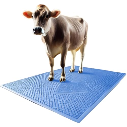 Image of DM DASII EVA Cow Mat for Dairy Farm | Anti-Slip Cattle Shed Flooring Mat for Cow & Buffalo | Heavy Duty Waterproof Livestock Mat | Comfortable, Shock Absorbent & Easy to Clean (Deluxe, Blue)