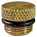 Oil Fill Plug with O-Ring