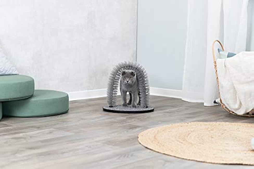 TRIXIE Cat Massager and Self Grooming Arch, Bristle Ring Brush, Carpet Base Scratcher, Cat Self Groomer, Gray, Small-T72mMzHl
