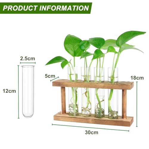 Image of ecofynd Test Tube Planter with Wooden Holder, Air Planter Glass Vase Holder with 4 Test Tube, Home Decor Hydroponic Plant Stand for Table Top, Desktop, Living Room, Office (TTP004)