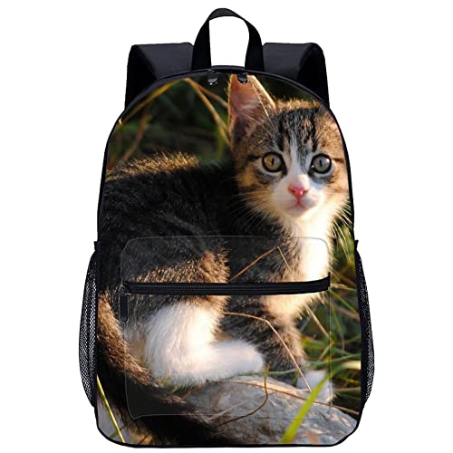 Mochila escolar de gato unisex para niños y adolescentes de 45x30x15cm