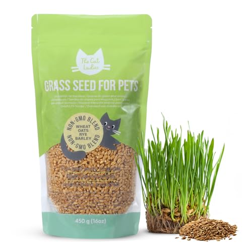 The Cat Ladies Semi di Erba per Gatti da Piantare - Commestibile per Gatti - Snack Biologico 100% Naturale - Erba di Grano Ricca di Fibre - per Gatto Domestico