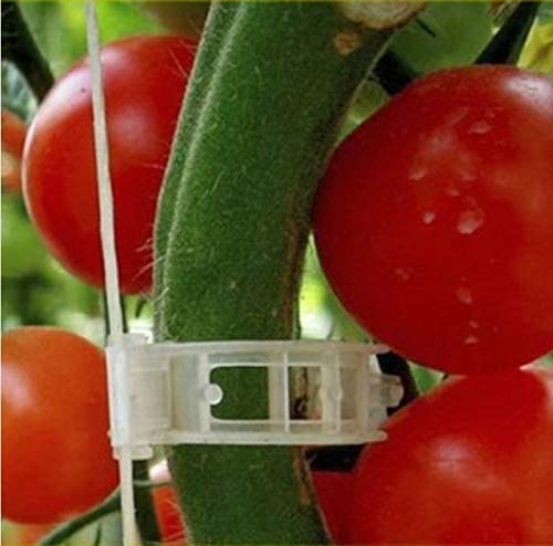 Lot De 30 Clips De Support Pour Plantes – 4 Tailles (6 à 13,7 Cm) – En Plastique Noir – Pour Tuteurs, Tomates, Vignes, Plantes Grimpantes
