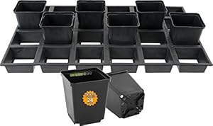 GREEN24 Anzuchttöpfe Set mit 24 Töpfen