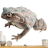 Sturdy and Wear-Resistant: Made from durable PVC material, this toad figurine is built to withstand regular handling and play, ensuring long-lasting fun for kids while remaining safe and sturdy for educational purposes.