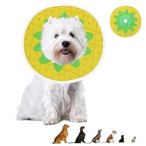 MABOZOO Waterproof Dog Cone, Adjustable Dog Cat Pet Cone Collar Recovery Collar for Dogs and Cats After Surgery, Lightweight Protective Collar E-Collar to Stop Licking (Pineapple, L) MABOZOO Waterproof Dog Cone Adjustable Dog Cat Pet Cone Collar Recovery Collar for Dogs and Cats After Surgery Lightweight Protective Collar E Collar to Stop Licking Pineapple L