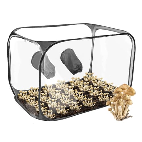 Boîte Tente de Serre pour Culture de Champignons, Matériau PVC Transparent, Kit de Germination de Graines, avec 2 Filtre à air, pour Mycelium de Champignon, Champignon Pluie, 90x60x60cm(Noir)