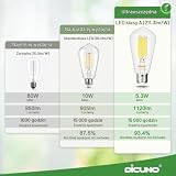 DiCUNO Żarówka LED Edison E27 6W, światło naturalne białe 4000K, odpowiednik 80W, 1120 lm, nieściemnialna szklana żarówka filamentowa ST58, 230V AC, lampa vintage, zestaw 2 szt.