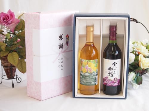 感謝の贈り物ボックス 沖縄産パイナップル辛口白ワインと国産ワインセット(実りの収穫 赤ワイン やや甘口(山梨県)720mlラグリマ・デル・ソル辛口白ワイン 720ml