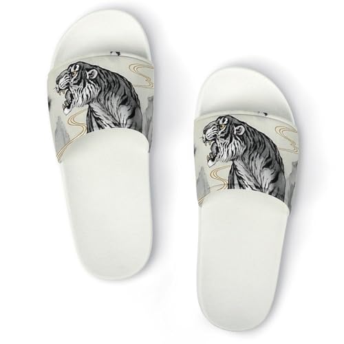 [RFSHOPQQ] �X���b�p ���� �a�� �G�� ���n�� ���� ���O�p ���f�B�[�X �����Y ���[���V���[�Y �n�E�X�X���b�p ����~�ߕt �É� �y�� �t�ďH�p �j�����p ���l ���� ���q�p �����p 40(250mm)