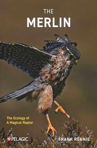 The Merlin: The Ecology of a Magical Raptor