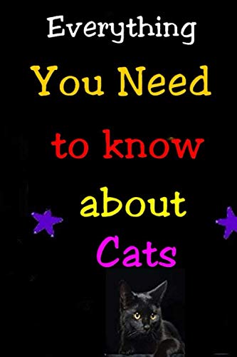 Everything you need to know about Cats