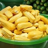 20 piezas comprar semillas de yaca, árbol de yaca, fruta de semilla, invernadero interior, planta de yaca (Artocarpus heterophyllus) árboles frutales columnares, jardín bonsái, invernadero