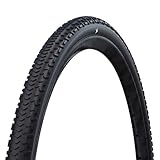 Schwalbe