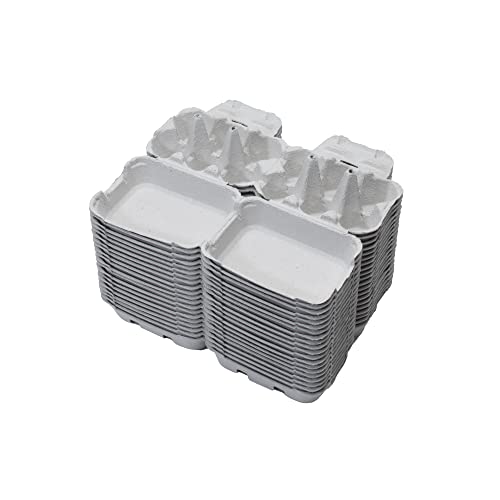 Hueveras de Cartón para Huevos de Gallina (20, XL)
