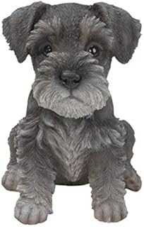 Vivid Arts Pet Pals Miniature Schnauzer Puppy PP-MINS-F
